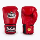 Mănuși de box RAJA BOXING Single Standard Genuine Leather red