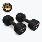 Halteră HMS HPT02 TPU 2 buc. 4 kg black