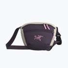 Borsetă Arcteryx Mantis 1 1,5 l