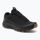 Cizme de drumeție pentru bărbați Arc'teryx Aerios FL 2 negru 29359