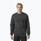 Bluză pentru bărbați Helly Hansen Arctic Ocean Sweater gri 30364_980