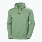 Bluză pentru bărbați Helly Hansen Yu Hoodie 2.0 jade 2.0