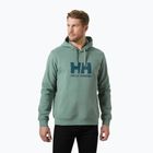 Bluză pentru bărbați Helly Hansen HH Logo Hoodie cactus