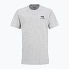 Tricou pentru bărbați Helly Hansen Nord Graphic grey melang