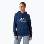 Bluză pentru femei Helly Hansen Nord Graphic Pullover Hoodie ocean