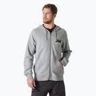 Bluză pentru bărbați  Helly Hansen HH Logo Full Zip Hoodie 2.0 grey/ melange