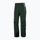 Pantaloni de schi pentru bărbați Helly Hansen Legendary Insulated dark jungle