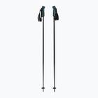 Bețe de schi HEAD Frontside carbon black/speed blue