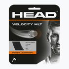 HEAD Velocity MLT corzi de tenis negru 281404