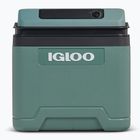 Frigider Igloo IE24 ACDC 24 and spruce