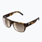 Ochelari de soare POC Want tortoise brown/clarity trail/partly sunny silver