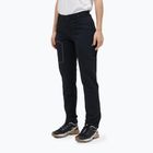 Pantaloni termoactivi pentru bărbați Peak Performance Light Scale Pants black