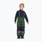 Pantaloni de schi pentru copii Didriksons Idre pine green