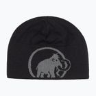 Căciulă de iarnă Mammut Logo steel/black