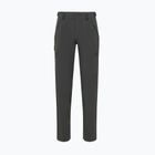 Pantaloni de trekking pentru bărbați Mammut Runbold IV Pants Men gabbro