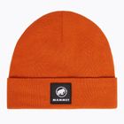 Căciulă de iarnă Mammut Fedoz Beanie autumn larice