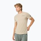 Tricou pentru bărbați super.natural Peak Lovers white pepper/eucalyptus