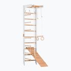 Scară de gimnastică RINAGYM SPR B+SLIDE