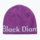 Căciulă de iarnă Black Diamond Reversible Beanie piton purple/alloy