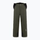 Pantaloni de schi pentru bărbați Colmar Sapporo-Rec forest green