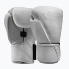 Mănuși de box Hayabusa T360 Leather white