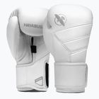 Mănuși de box Hayabusa T3 Kanpeki arctic white