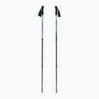 Bețe de trekking  Fizan Trek Pro dark green