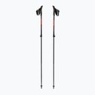 Bețe de nordic walking Fizan R-Evolution Pro red