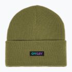 Căciulă de iarnă Oakley B1B Gradient Patch Beanie fern