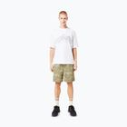 Tricou pentru bărbați Oakley Wired Mtn Scape Tee white