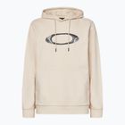 Hanorac pentru bărbați Oakley New Ellipse Hoodie Sweatshirt mist