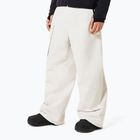 Pantaloni de snowboard pentru bărbați Oakley Channel Cargo mist