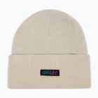 Căciulă de iarnă Oakley B1B Gradient Patch Beanie mist