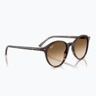 Ochelari de soare Ray-Ban Bernard havana/brown gradient