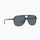 Ochelari de soare Ray-Ban Bill havana/blue
