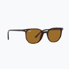 Ochelari de soare Ray-Ban Elliot havana brown/black polarized