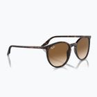 Ochelari de soare Ray-Ban RB2204 havana/light brown