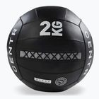 Minge medicinală CENTR Wall Ball Centr x Hyrox 2 kg black