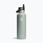 Sticlă de turism Hydro Flask Standard Flex Straw 620 ml agave