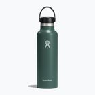 Sticlă de turism Hydro Flask Standard Flex 620 ml fir