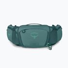 Borsetă de ciclism Osprey Savu 5 l cascade blue