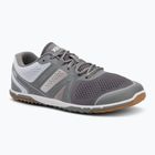 Încălțăminte barefoot pentru bărbați  Xero Shoes HFS II gray/white