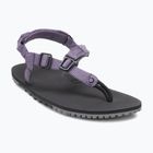 Sandale barefoot pentru femei Xero Shoes H-Trail HTW-SGPU sage purple