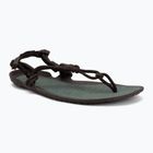 Sandale barefoot pentru bărbați Xero Shoes Aqua Cloud java/brown/dark/forest