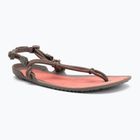 Sandale barefoot pentru femei Xero Shoes Aqua Cloud moel/sunset coral morel/sunset coral