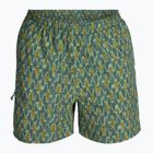 Pantaloni de trekking pentru bărbați Royal Robbins All-In algae flash pt
