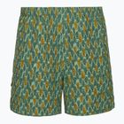 Pantaloni de trekking pentru bărbați Royal Robbins All-In algae flash pt