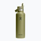 Sticlă termică Hydro Flask Standard Flex 621 ml palmer green