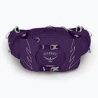 Borsetă pentru femei Osprey Tempest 6 l violac purple