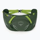 Osprey Duro Dyna 2 l verde alge marine/limon pungă pentru rinichi